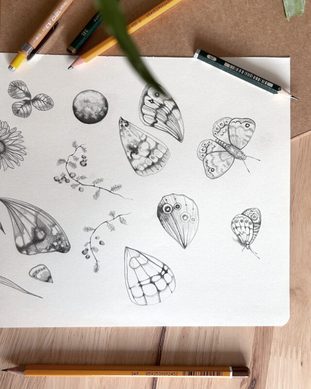 szkice ołówkiem do wzorów na akcesoria dla psów