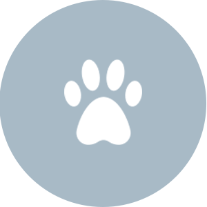 łapka psa - ikonka