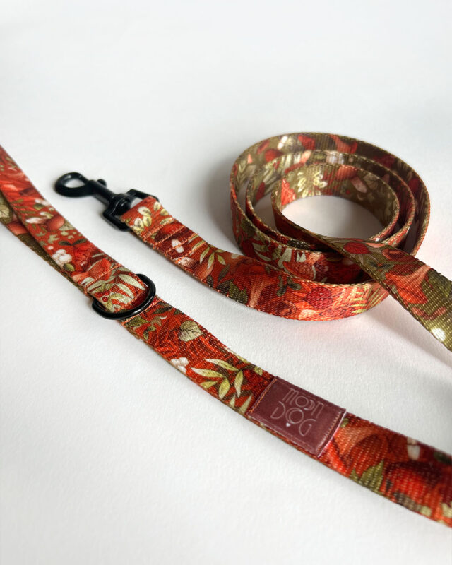 smycz przepinana w ceglanym kolorze na jesień