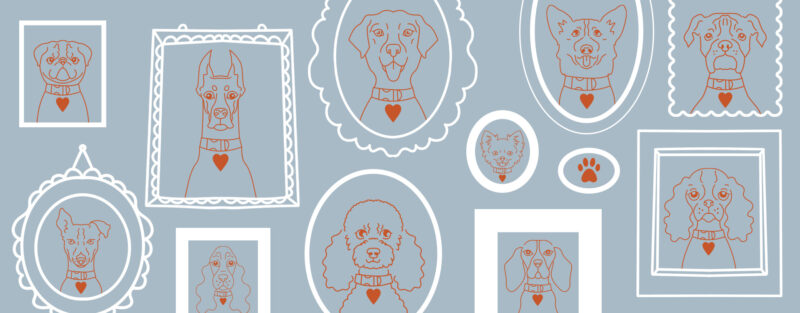 autorskie ilustracje piesków moondog