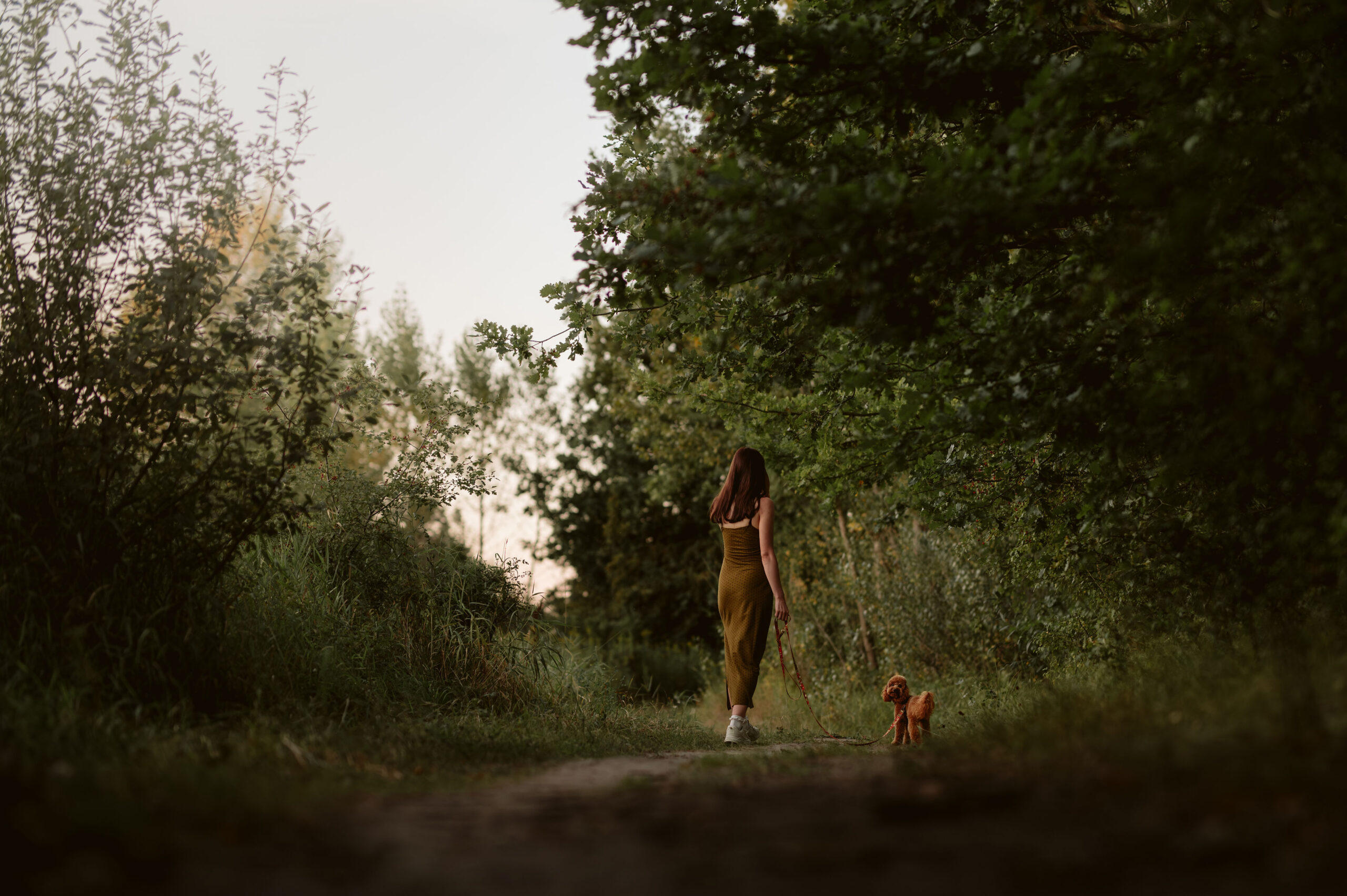 strona o nas - zdjęcie w tle