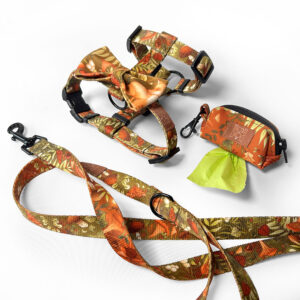 zestaw autumn, szelki z kokardką i smycz