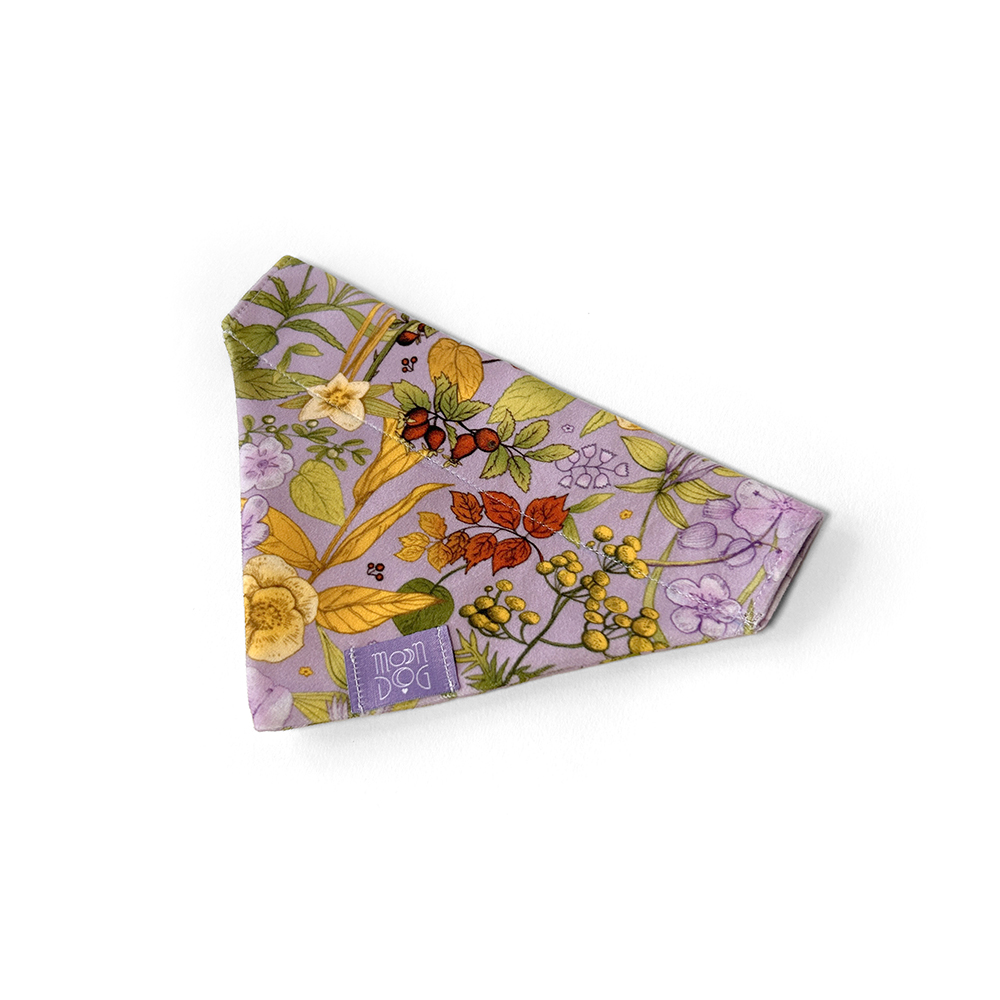 bandana z weluru dla psów