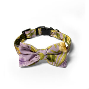 kokarda september i obroża z klamrą