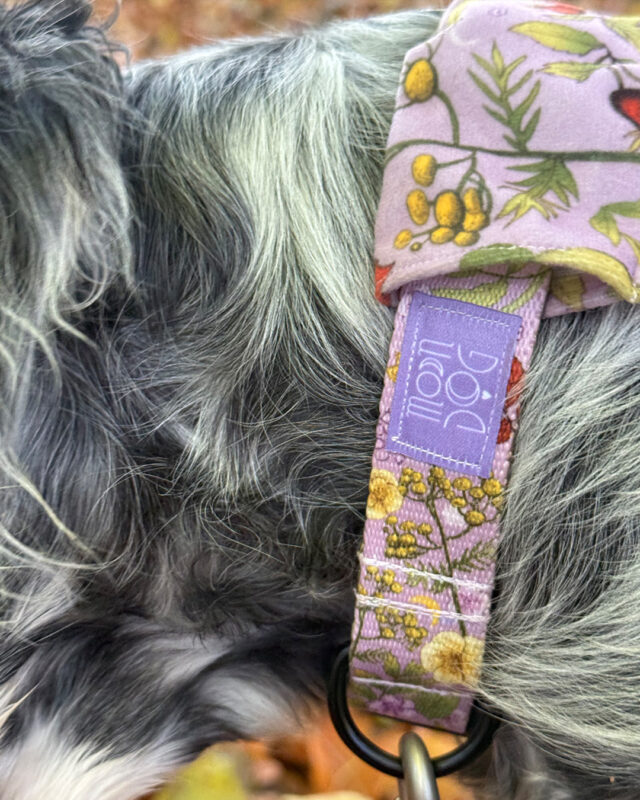 Ręcznie szyta obroż a w kwiaty na szyi psa