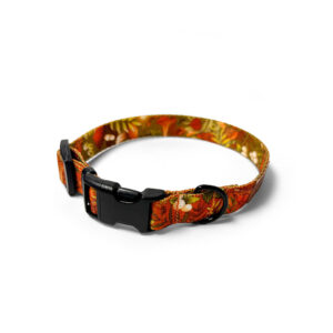 obroża z klamrą duraflex i solidnymi okuciami