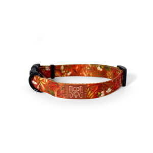 Obroża z klamrą AUTUMN CINNAMON - obrazek 3