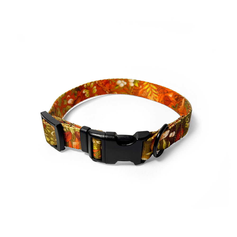 obroża autumn z klamrą w kolorze mchu