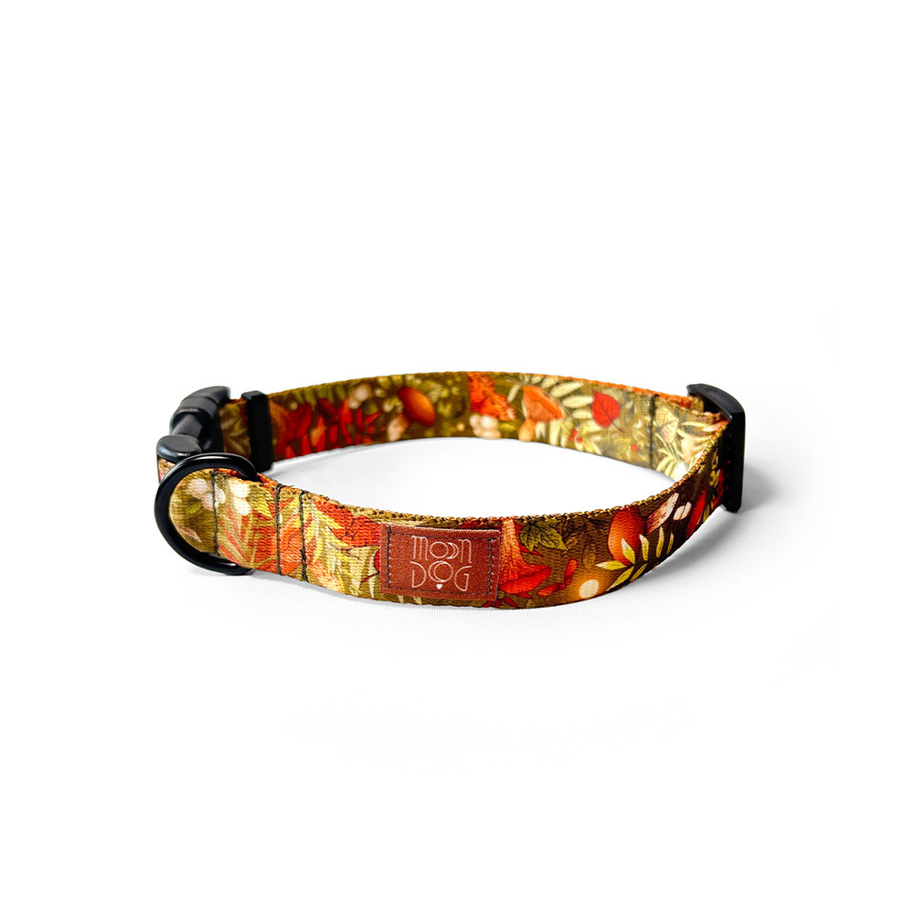 autumn zielono ruda obroża