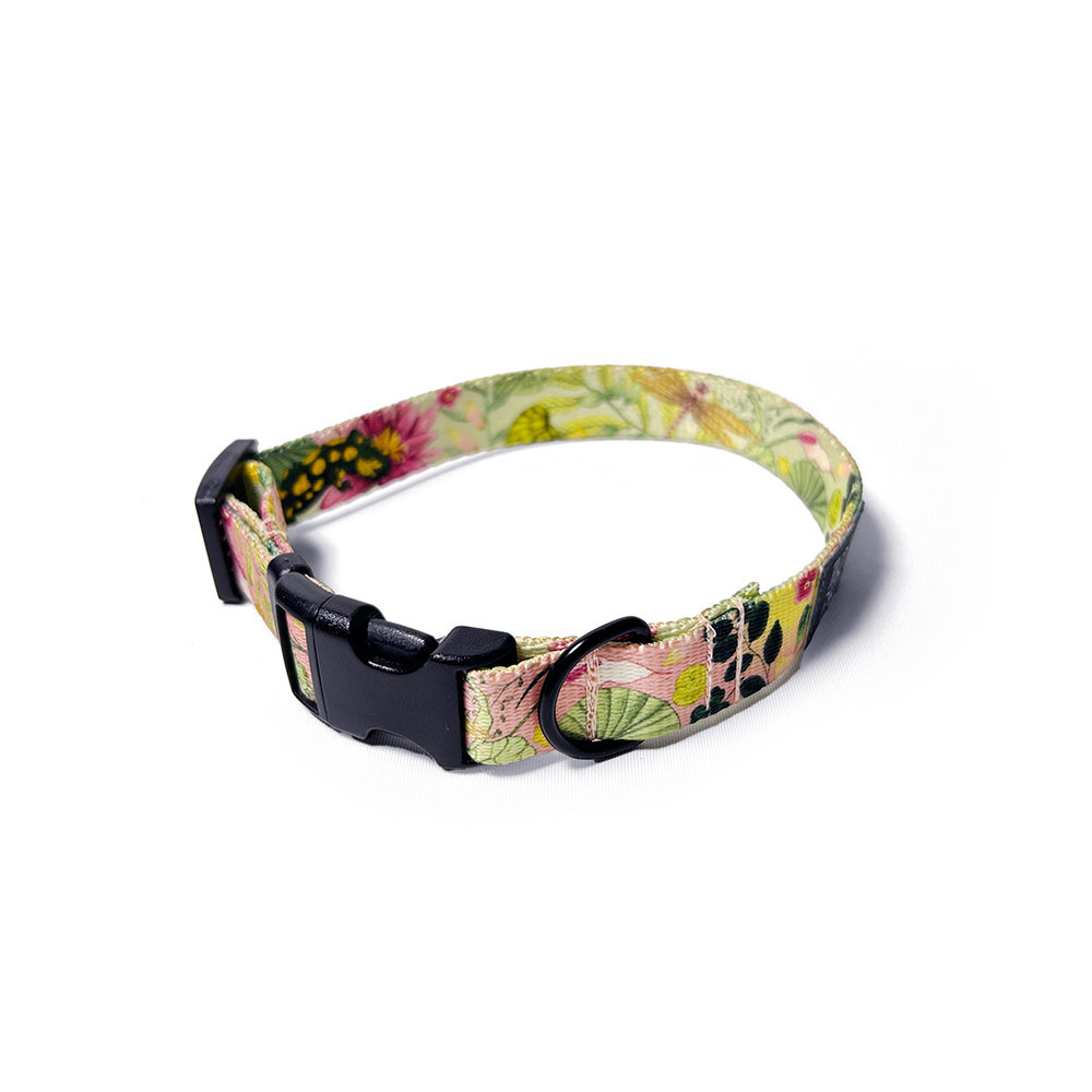 piękna obroża dla psa 20 mm