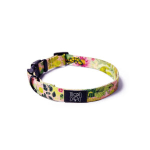 obroża moondog z klamrą duraflex i czarnymi okuciami