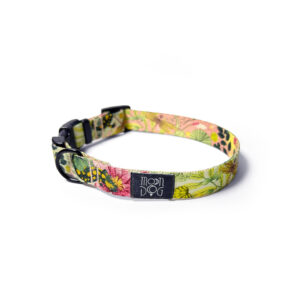 obroża moondog z klamrą duraflex i czarnymi okuciami