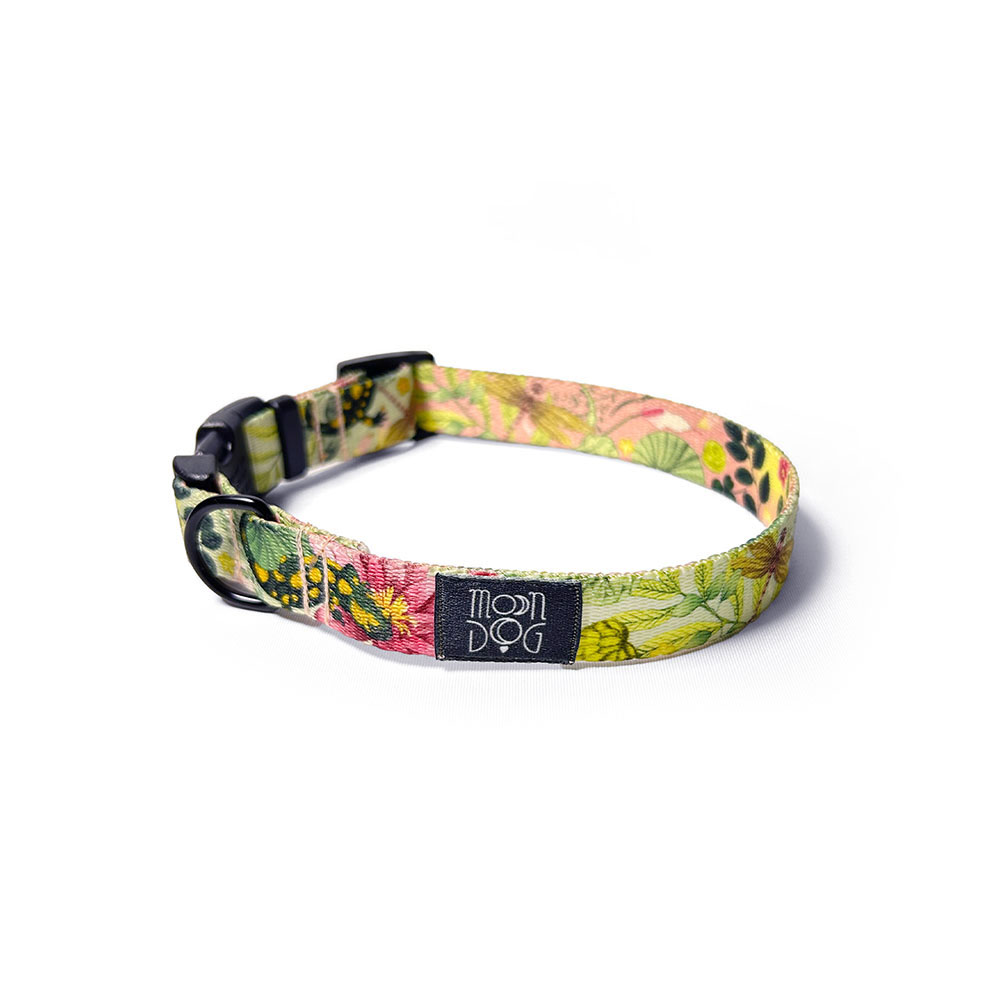 obroża moondog z klamrą duraflex i czarnymi okuciami