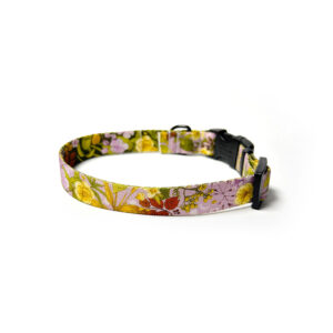 modna obroża zielono-fioletowa