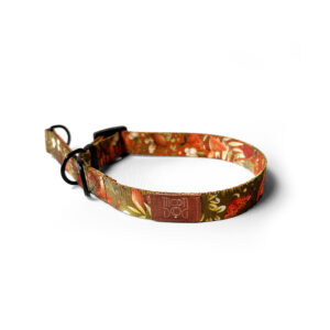 oliwkowa obroża w grzyby dla psów różnej wielkości