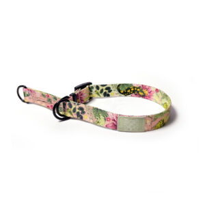 półzaciskowa obróżka z regulatorem