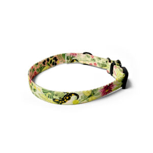 sceneria jeziorna na obroży dla psa