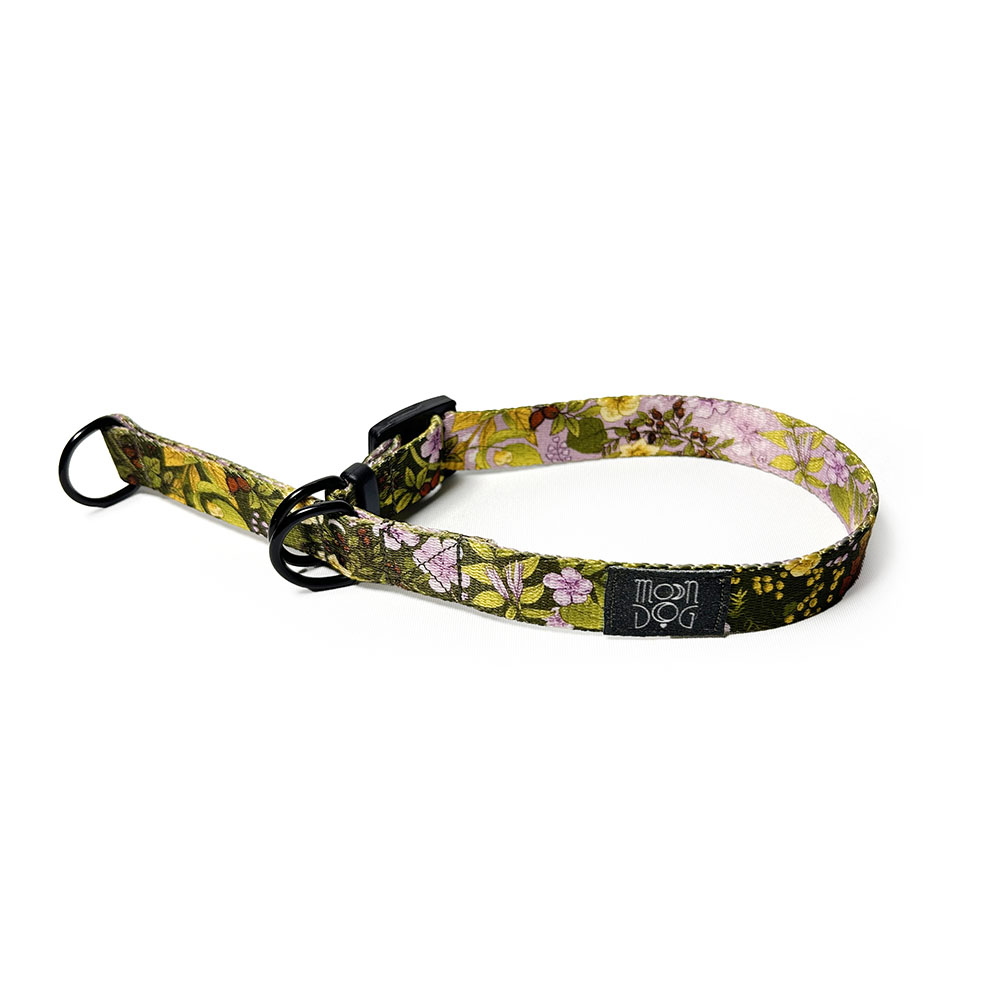 folklor na obroży dla psa w kolorze łąki wrześniowej