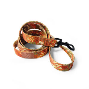 smycz miejska pomarańczowa autumn marki moondog