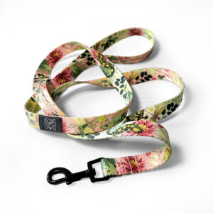 smycz lakeside sage marki moondog z czarnymi okuciami