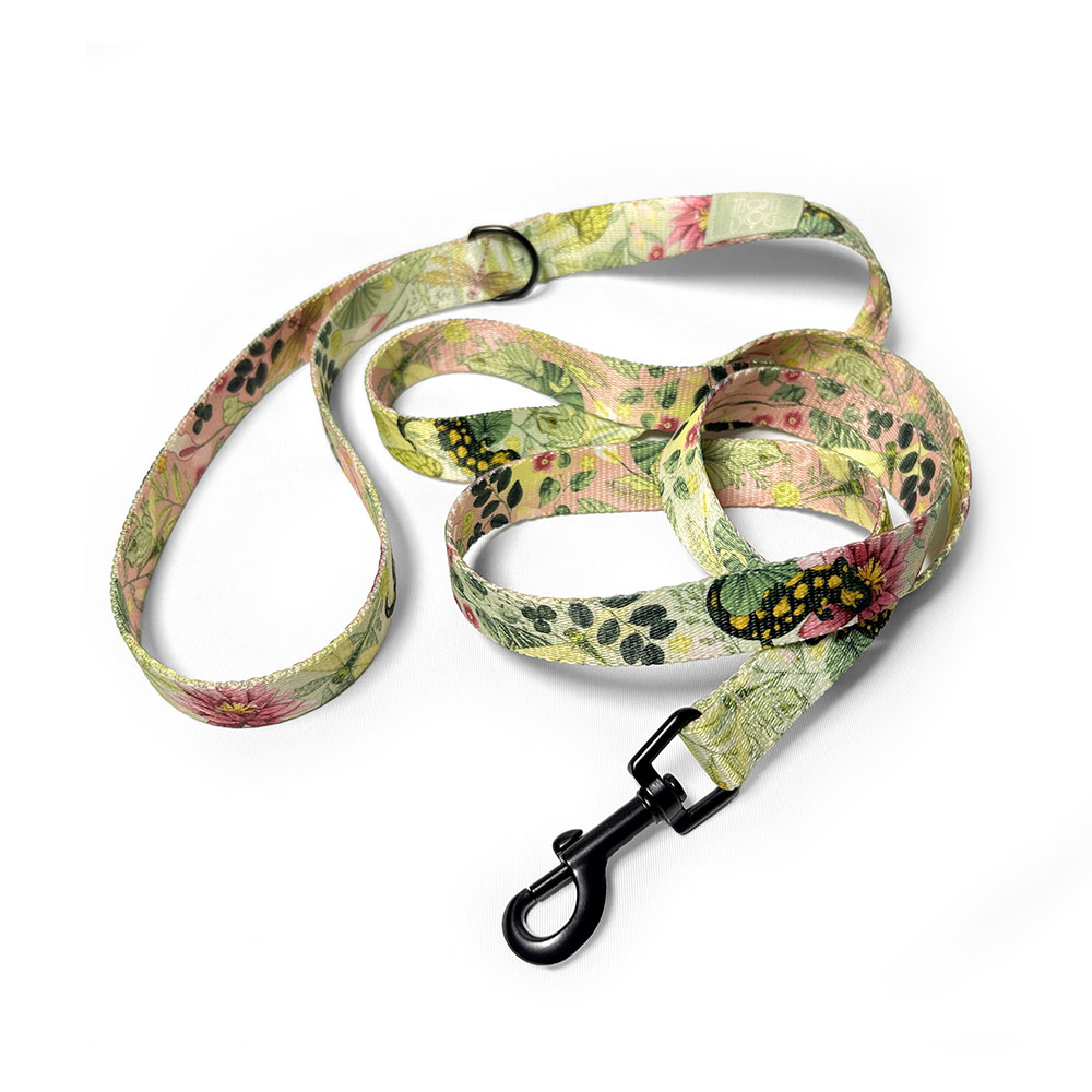 smycz miejska w żabki, motyle ważki i rośliny wodne