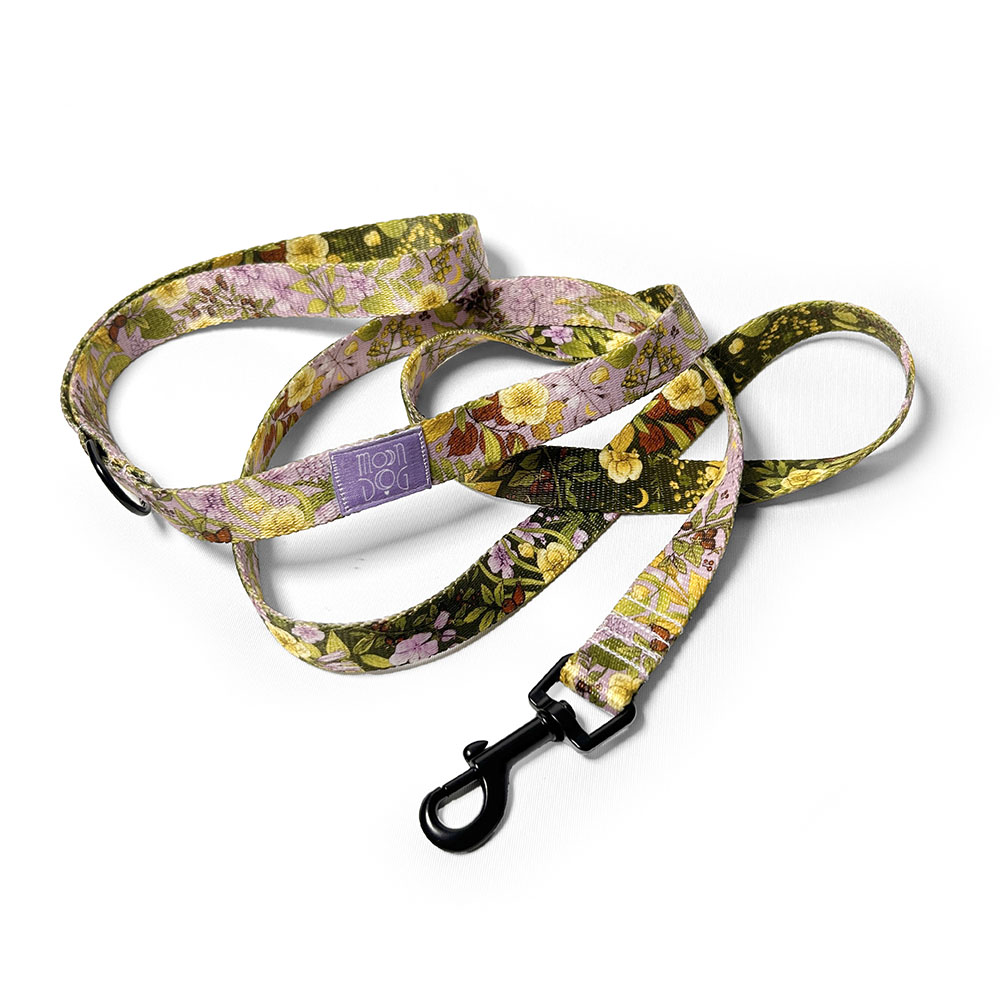 smycz miejska fioletowo zielona