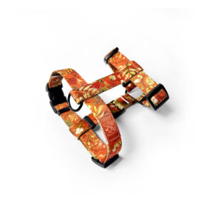 śliczne rude szelki na jesień