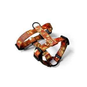 szelki pomarańczowe dla psa jesieniary