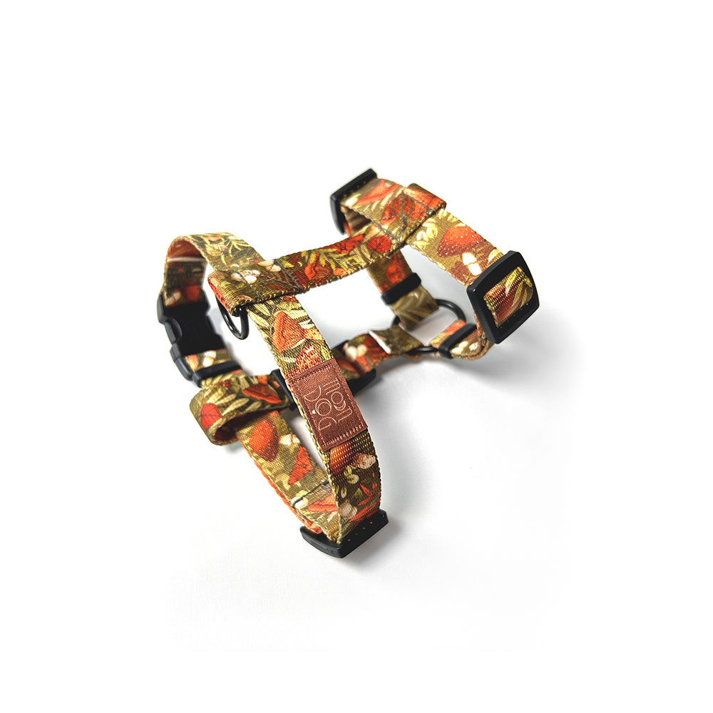 szelki oliwkowe w paprocie