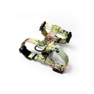 seledynowe szeleczki dla psa