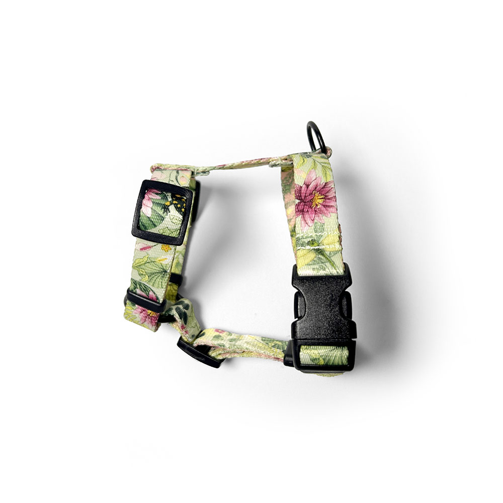 piękne szelki w rośliny