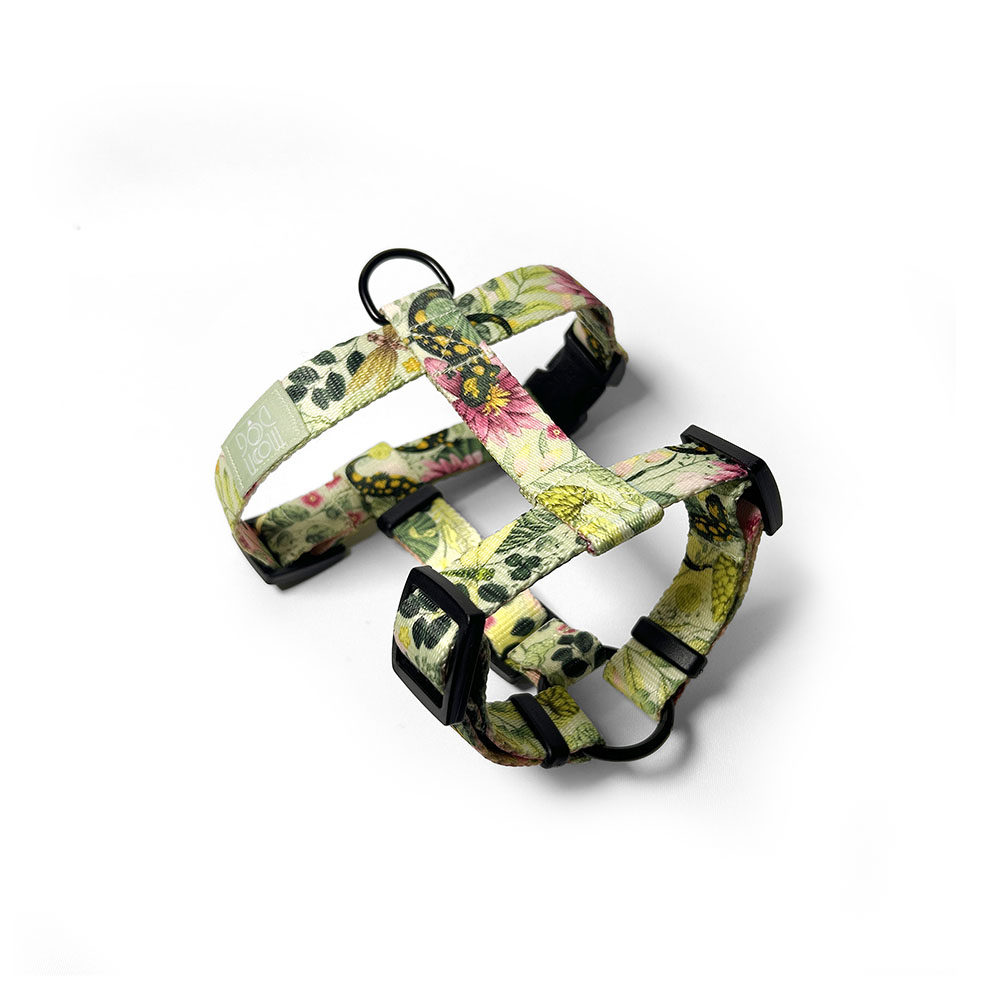 zielone szelki z salamandrami żabami i kwiatami lilii wodnej