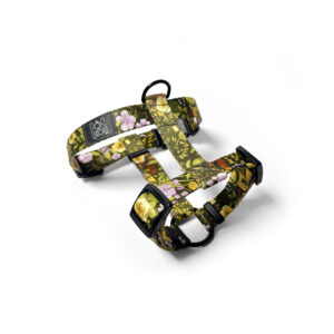 herbarium na szelkach dla psa