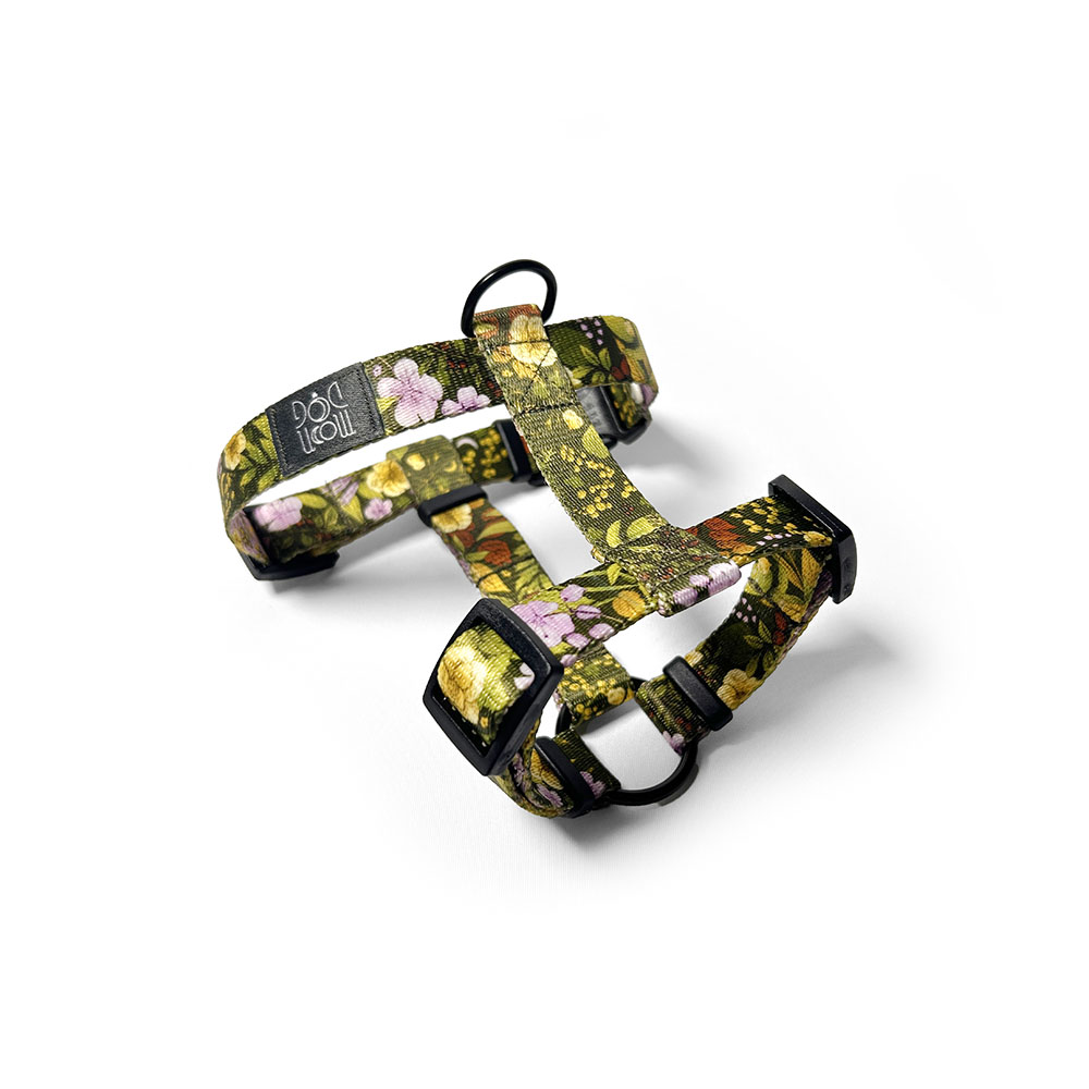 herbarium na szelkach dla psa