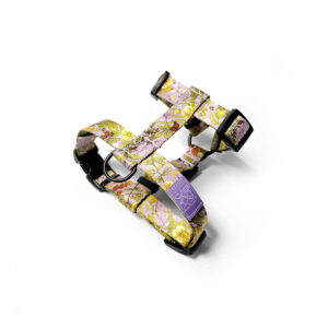 szelki dla psa w piękne rysunki naturalne