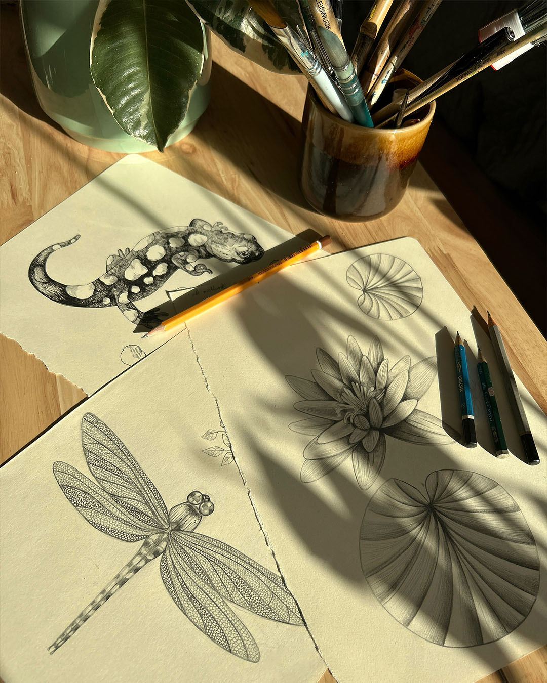 szkice z ilustracjami do autorskich wzorów moondog