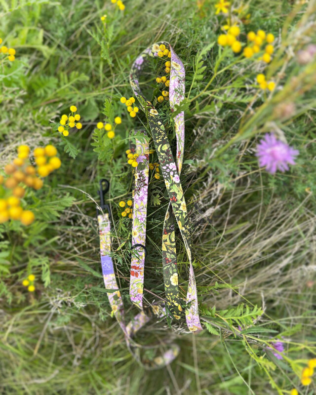 smycz september marki moondog na łące wśród kwiatów