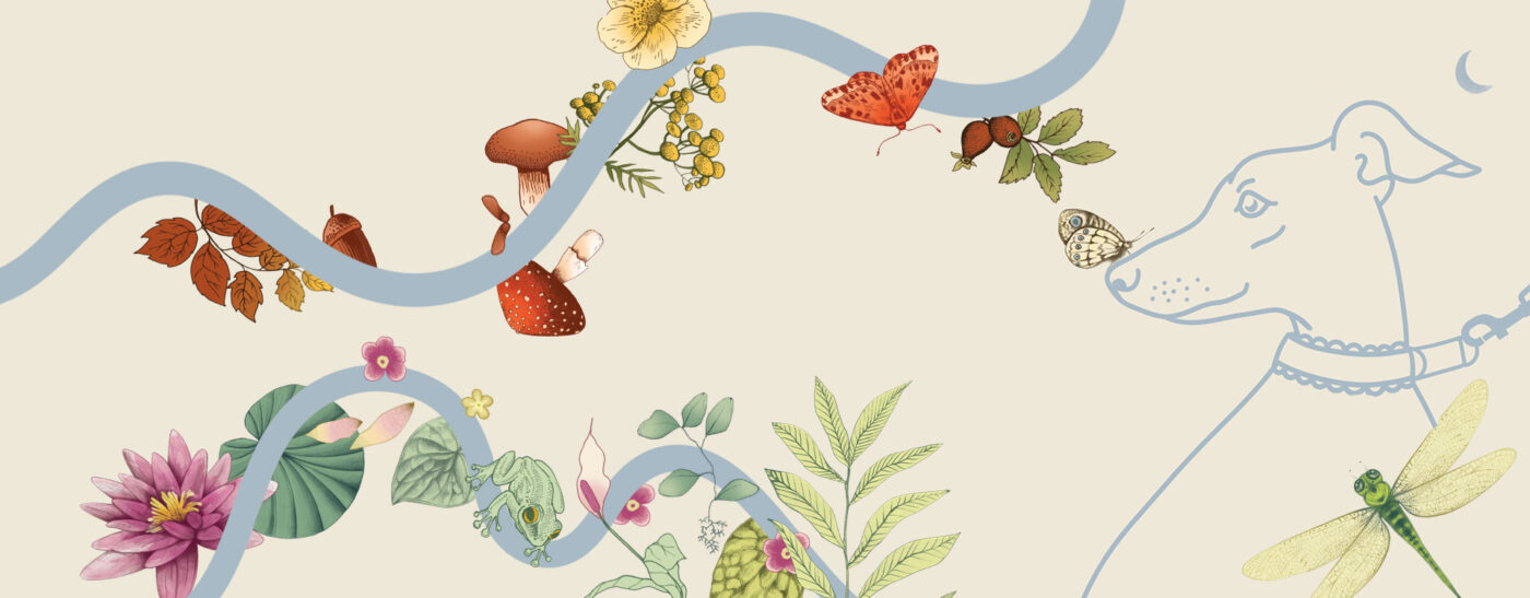 Baner z taśmami nośnymi i ilustracjami inspirowanymi naturą