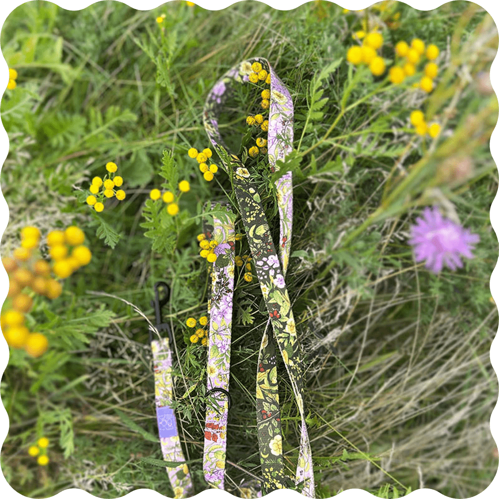 smycz september marki moondog na łące wśród kwiatów