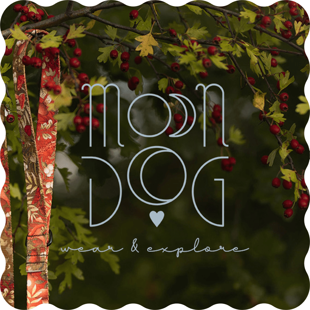 smycz autumn w leśnej scenerii i logo moondog wear & explore