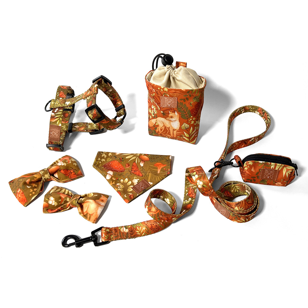 cała kolekcja autumn z akcesoriami spacerowymi dla psa