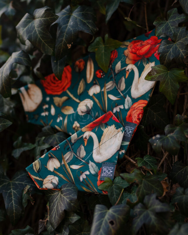 bandanki snowdrop w łabędzie