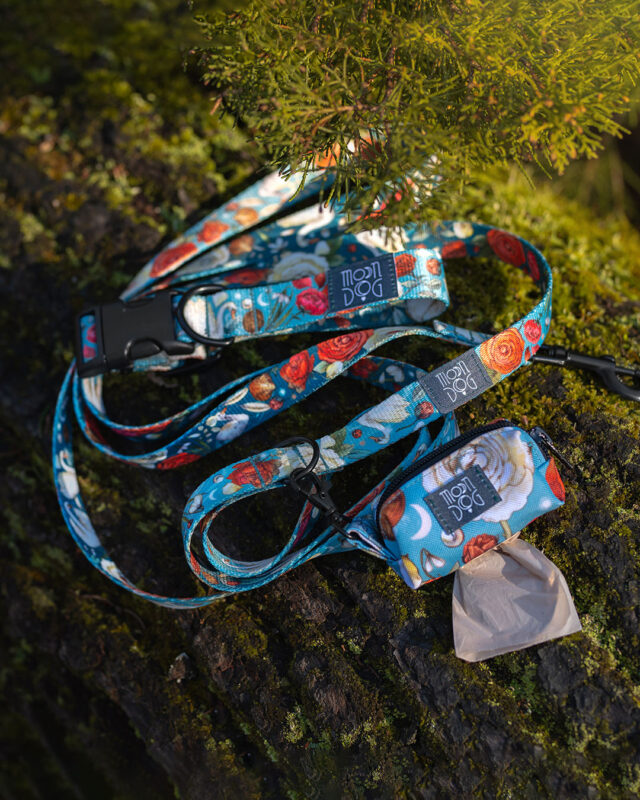 zestaw spacerowy w róże