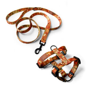 Zestaw jesienna smycz miejska 2m i szelki guard