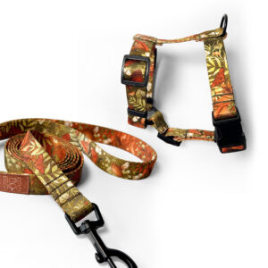 Zestaw oliwkowa smycz miejska 2m i szelki guard