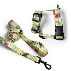 Komplet jasnozielona smycz i szelki dla psa