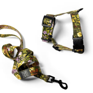 ciemnozielona smycz 200 cm i szelki guard xxs xs s m l