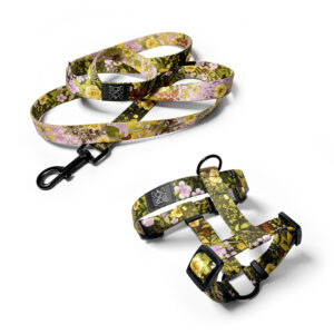 ciemnozielona smycz 200 cm i szelki guard xxs xs s m l