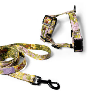 Zestaw fioletowa smycz miejska 2m i szelki guard