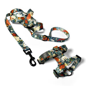 Zestaw spacerowy szelki i smycz w ciemnej zieleni